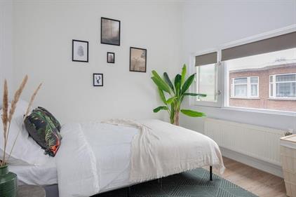 Kamer te huur 417 euro Lyonnetstraat, Den Haag