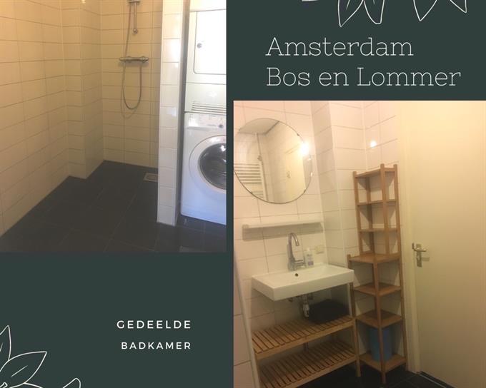 Zimmer bei Erik de Roodestraat In Amsterdam