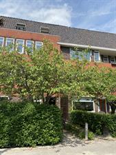 Room for rent 580 euro Oosterhamrikkade, Groningen