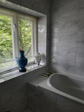 Studio te huur 850 euro Charlotte de Bourbonstraat, Delft