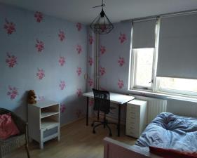 Room for rent 600 euro Lariksdreef, Vlaardingen