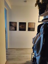 Room for rent 750 euro Saturnusstraat, Den Haag