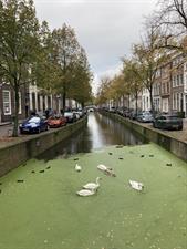 Kamer te huur 400 euro Oude Delft, Delft