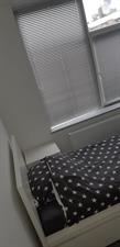 Room for rent 475 euro Hannolaan, Utrecht