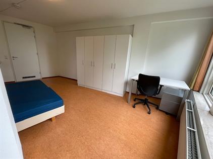 Room for rent 555 euro Stadsbrink, Wageningen