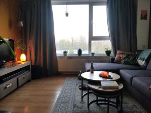 Apartment for rent 800 euro Julianalaan, Leeuwarden