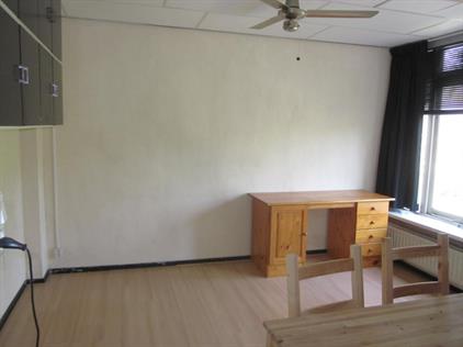 Kamer te huur 425 euro Petrus Dondersstraat, Eindhoven