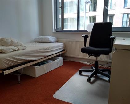 Room for rent 590 euro Bas Paauwestraat, Rotterdam