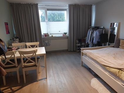Room for rent 519 euro Slachthuisstraat, Groningen