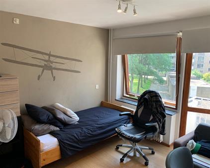 Room for rent 360 euro Ricardishof, Delft