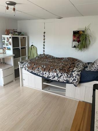 Zimmer bei Oude Velperweg In Arnhem