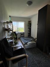 Room for rent 700 euro Gouden Leeuw, Amsterdam