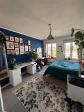Room for rent 1 euro Hoogstraat, Wageningen