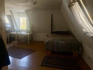 Kamer te huur 825 euro Eeldersingel, Groningen