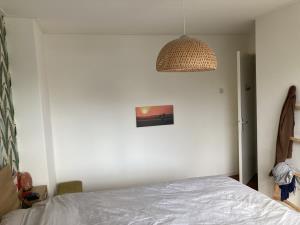 Apartment for rent 1500 euro Opaalstraat, Nijmegen