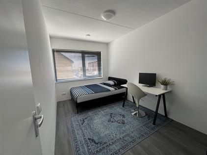 Kamer te huur 1095 euro Parallelweg, Hillegom