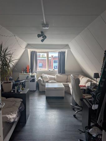 Kamer in Groningen, Tuinbouwstraat op Kamernet.nl: Huize Buffalo