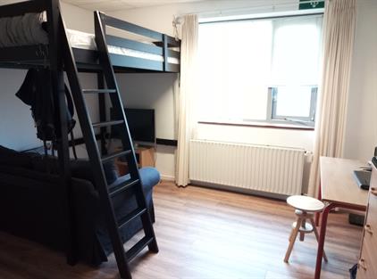 Room for rent 440 euro Willem Lorestraat, Leeuwarden