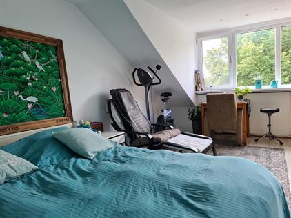 Kamer te huur 700 euro Martinus Nijhoffplantsoen, Rotterdam