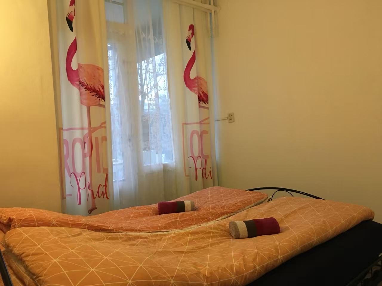 Kamer te huur in Amsterdam – Haardstee – foto 2