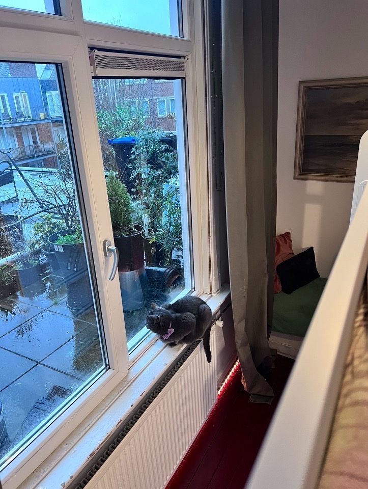 Kamer te huur in Den Haag – Lutherse Burgwal – foto 4