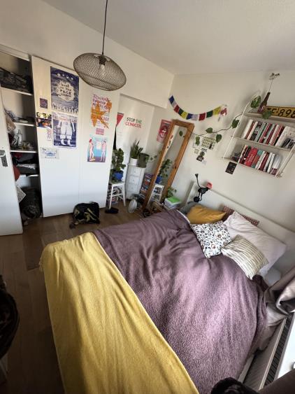 Room for rent 750 euro Goeman Borgesiusstraat, Amsterdam