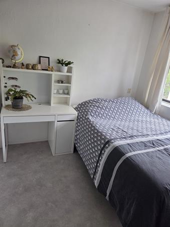 Kamer in Amsterdam, Loenermark op Kamernet.nl: 2027