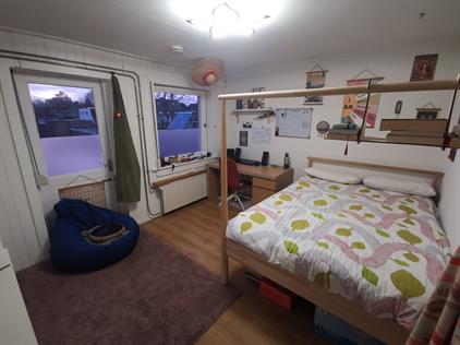 Room for rent 525 euro Tubantiasingel, Enschede