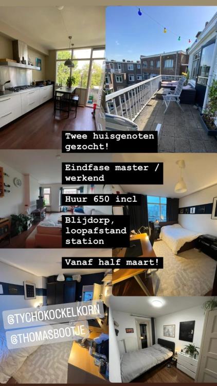 Room for rent 650 euro Stadhoudersweg, Rotterdam