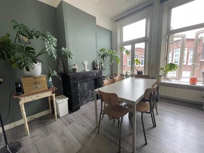 Tuinbouwstraat