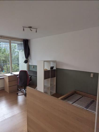 Room for rent 450 euro Cesar Franckstraat, Delft