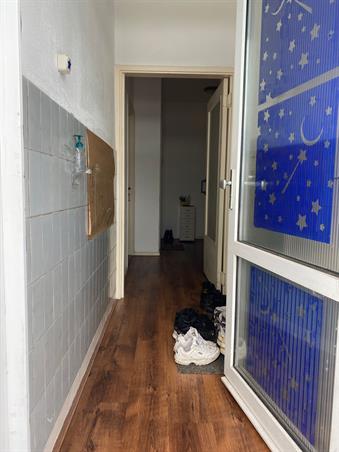 Zimmer bei Utrechtsestraat In Arnhem