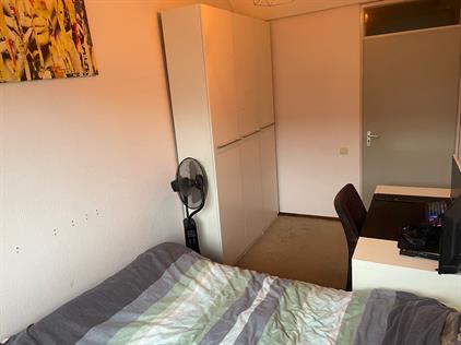 Room for rent 613 euro Iepentakvlinder, Leiden