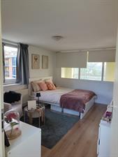 Zimmer zu vermieten 800 Euro Spijkermakersstraat, Den Haag