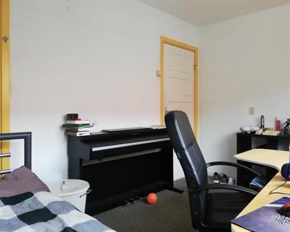 Room for rent 360 euro Ranonkelstraat, Eindhoven