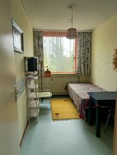 Regentessestraat