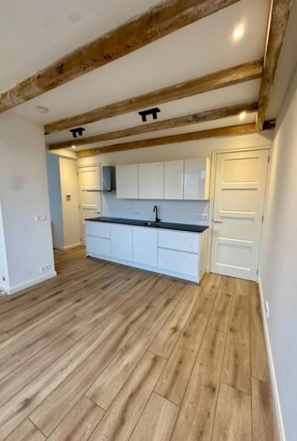 Appartement te huur 1375 euro Nassaulaan, Groningen