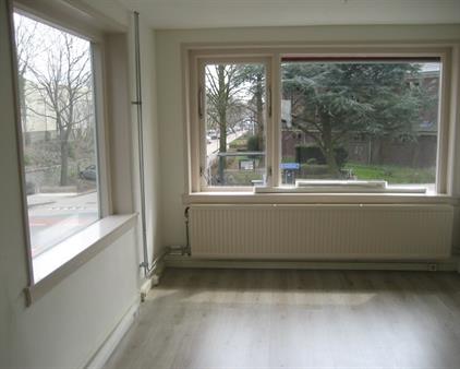 Adelaarstraat