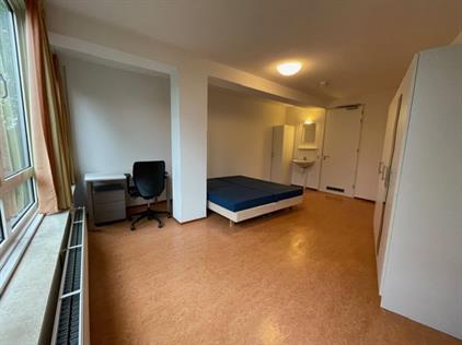 Room for rent 550 euro Stadsbrink, Wageningen