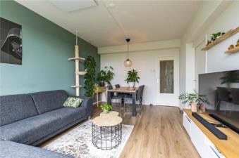 Room for rent 550 euro Donderslaan, Groningen