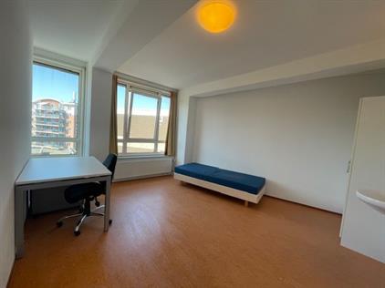 Room for rent 479 euro Stadsbrink, Wageningen