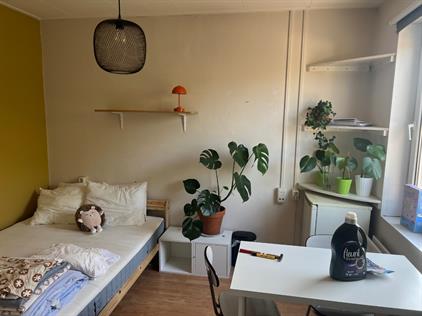 Room for rent 525 euro Waterstraat, Nijmegen