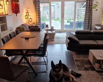 Zimmer zu vermieten 825 Euro Presidentstraat, Almere