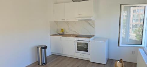 Appartement te huur 1500 euro Vleutenseweg, Utrecht