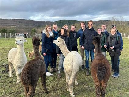 Room for rent 364 euro Calslaan, Enschede