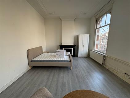 Room for rent 975 euro Sweelinckplein, Den Haag
