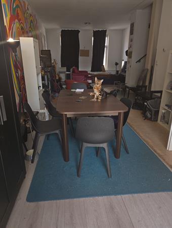 Zimmer bei Pieter de Raadtstraat In Rotterdam