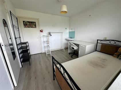 Room for rent 565 euro De Houtmanstraat, Arnhem