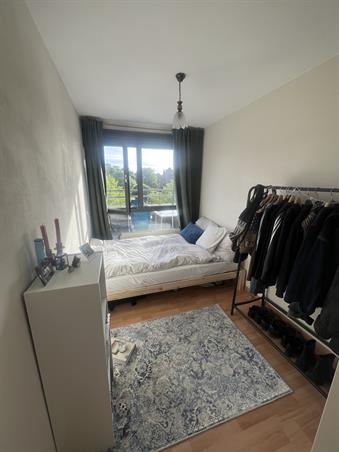 Kamer in Rotterdam, Aelbrechtskade op Kamernet.nl: 
