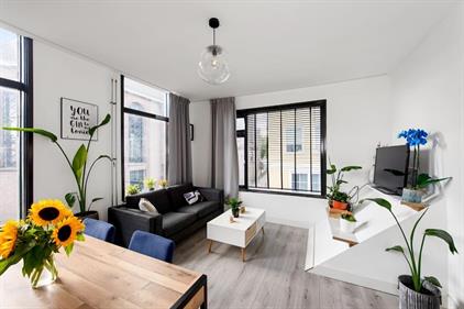 Apartment for rent 200 euro Noorderkerkstraat, Zaandam